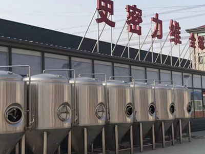 邯郸精酿啤酒设备厂—如何判断精酿啤酒设备的密封件需要更换?